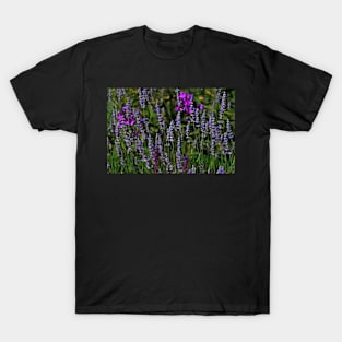 The Meadow T-Shirt